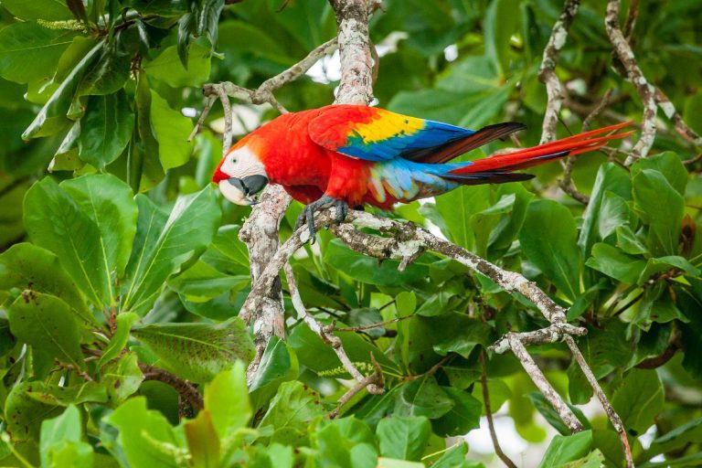 Viaje a Costa Rica | Maravillas Naturales