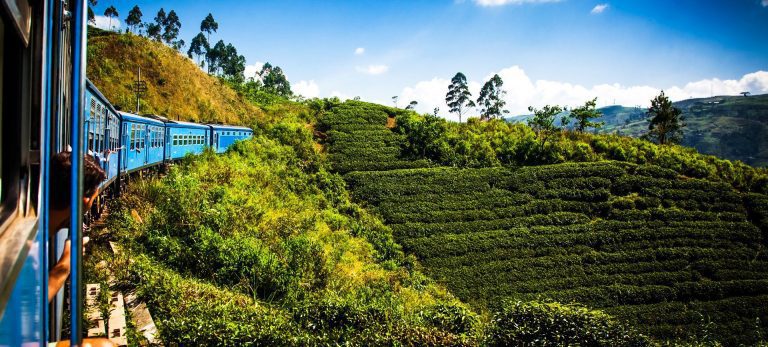 Viaje a Sri Lanka | Experiencia Exclusiva