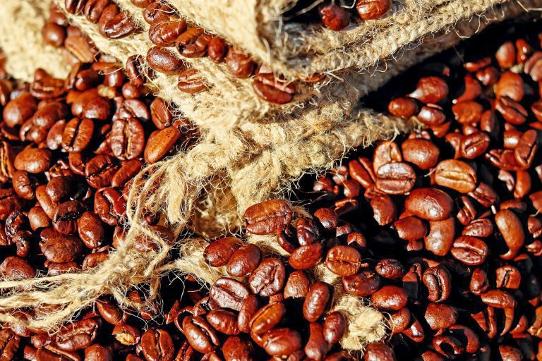 Viaje a Colombia | El intenso aroma del café