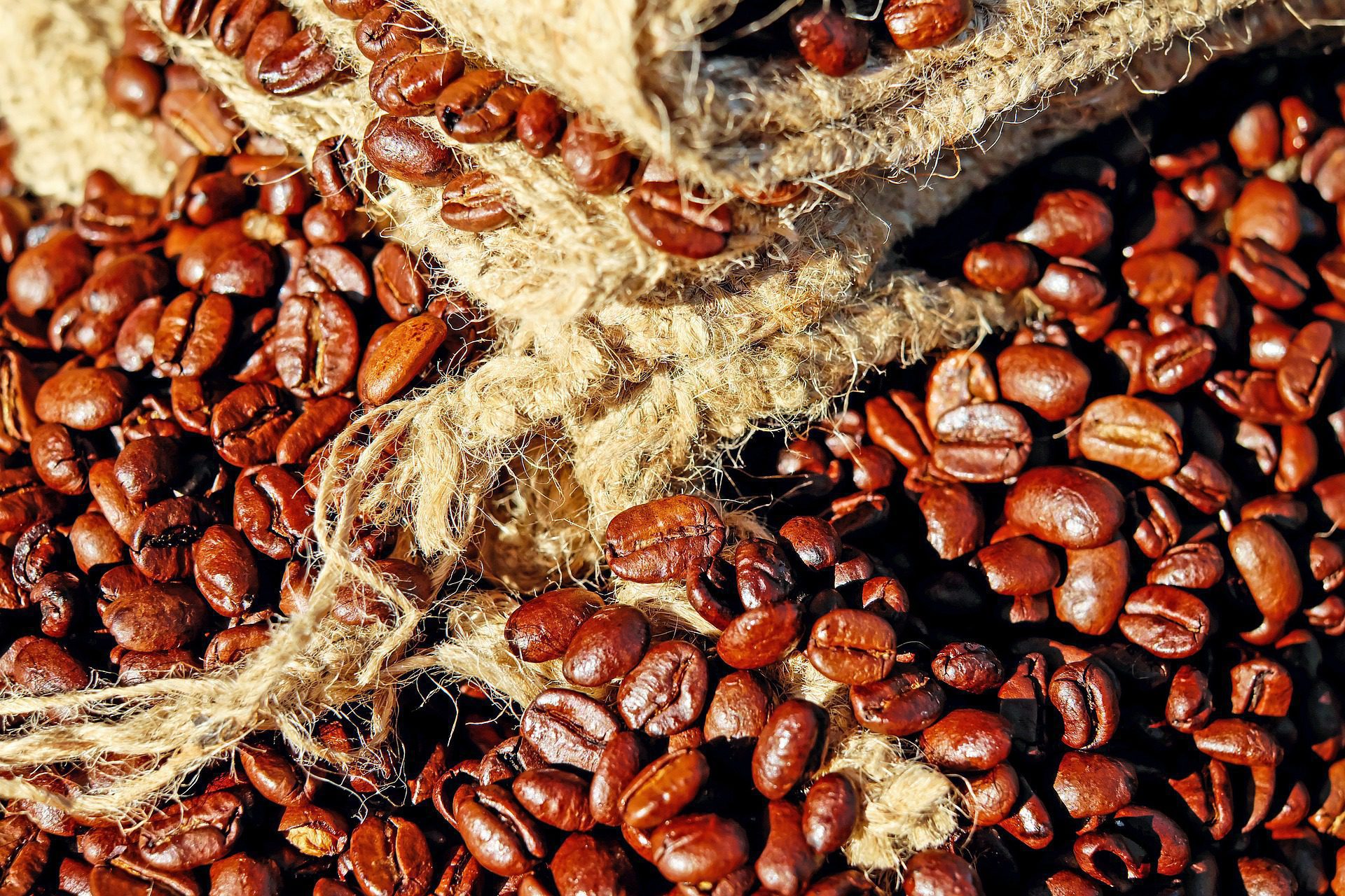 Granos de café tostado con intenso aroma representando la experiencia de un viaje a Colombia con WAYAO