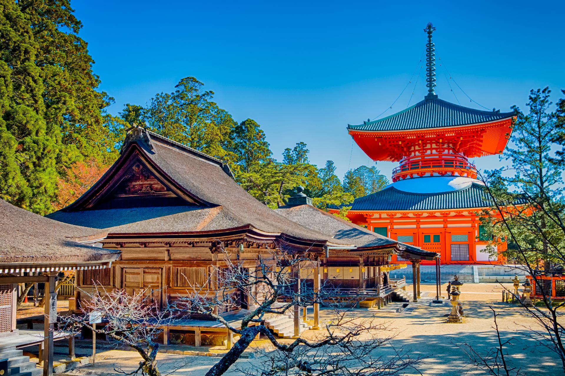 Majestuosos templos antiguos en un Viaje a Japón con WAYAO