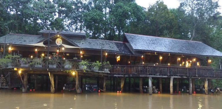 Descubre el Borneo Natural: Viaje por Malasia y la isla de Borneo