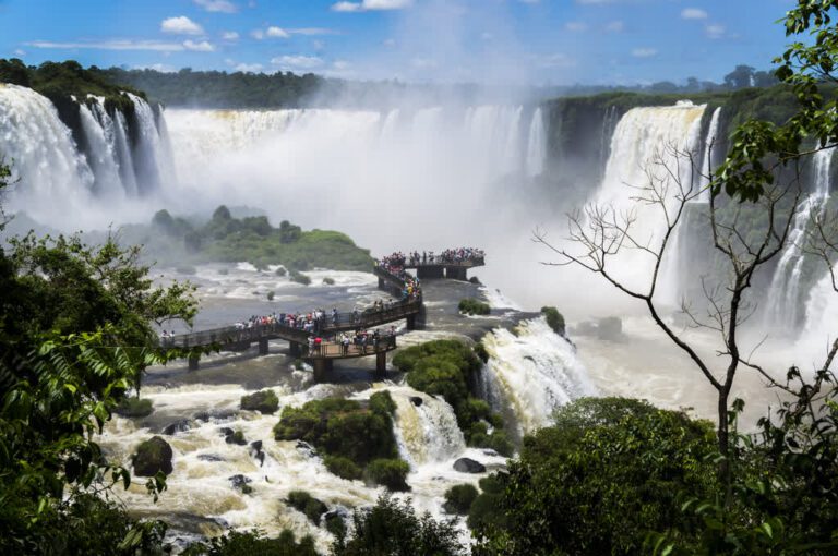Viaje a Brasil: vive Río de Janeiro, Amazonas y Salvador de Bahía