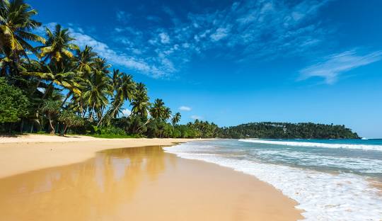 Viaje a Sri Lanka: templos, cultura y naturaleza. La Perla del Índico