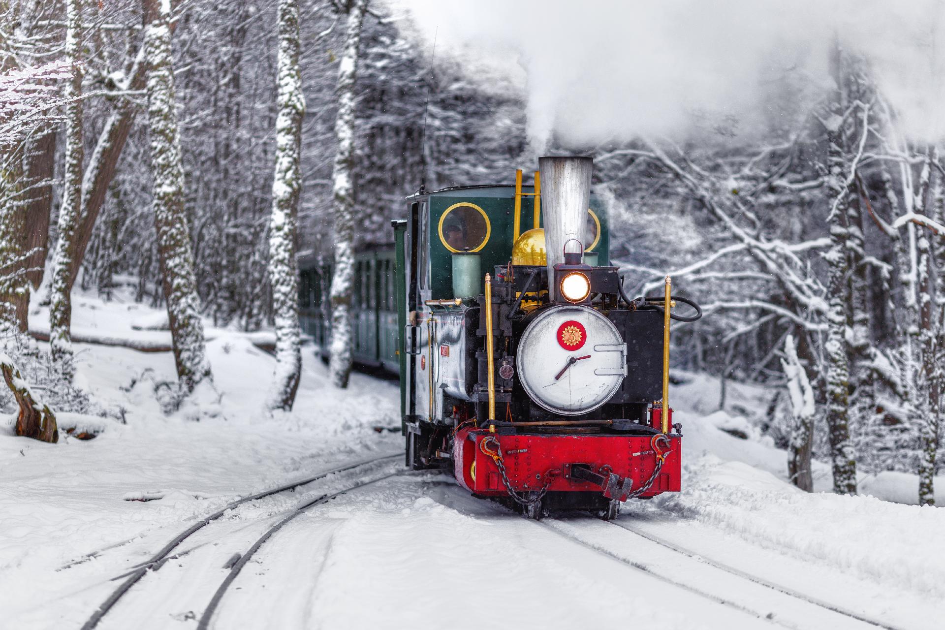 tren en la nieve con WAYAO