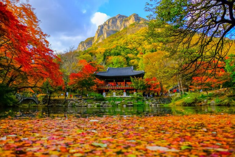Viaje a Corea del Sur en 13 días: tradición, templos y modernidad