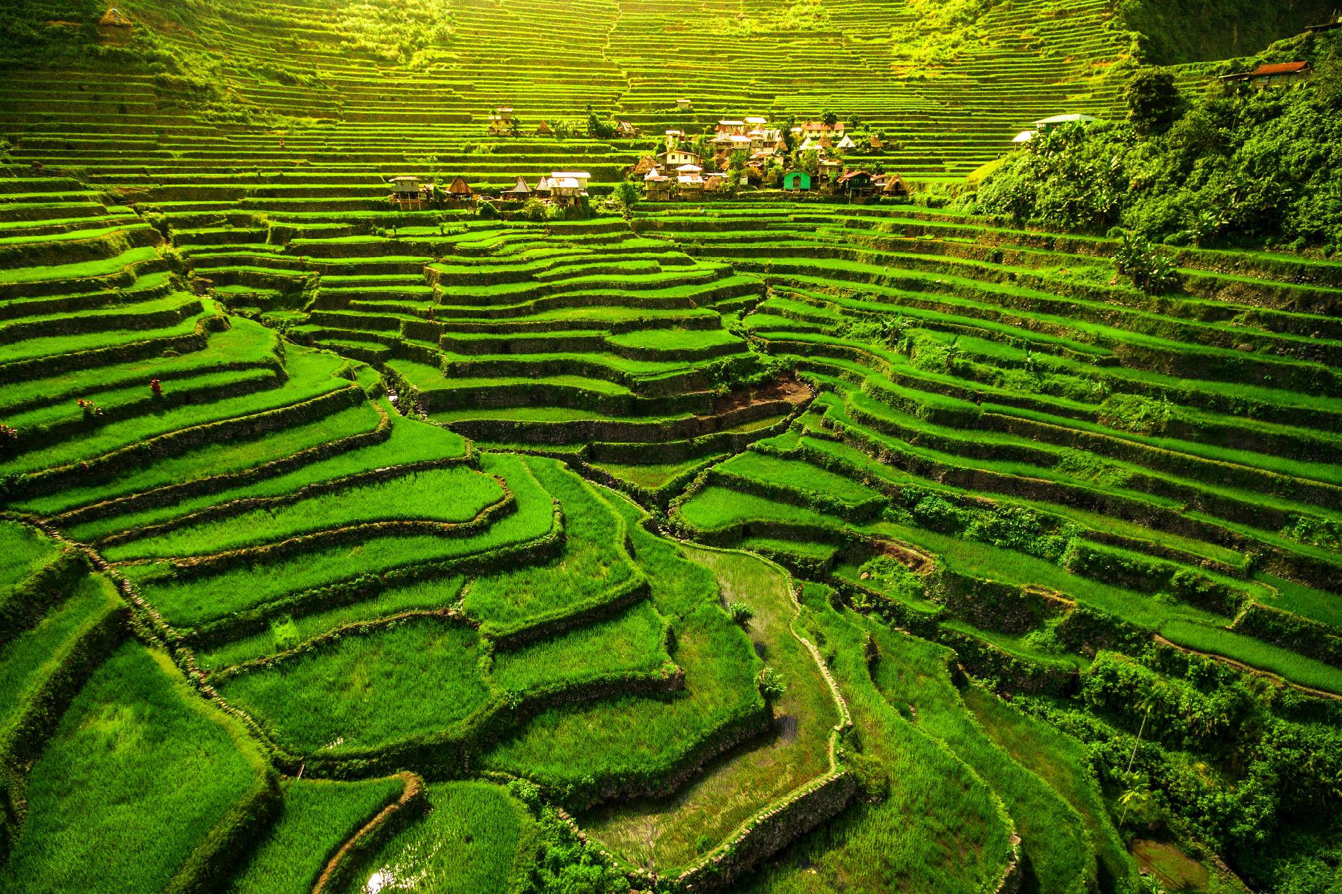 terrazas de arroz con WAYAO