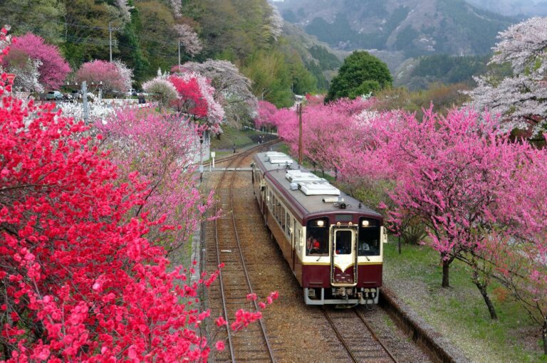 Japón con Japan Rail Pass: Tokio, Kioto, Hiroshima y Miyajima