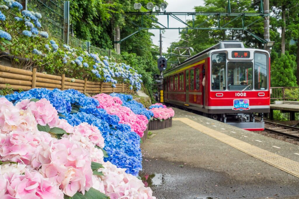 ferrocarril en japon con WAYAO