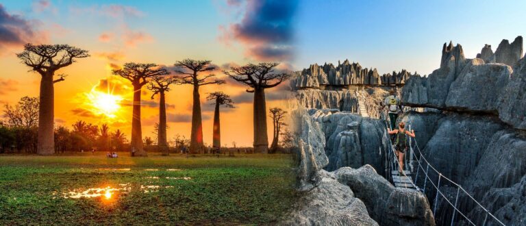 Viaje a Madagascar: Vive su naturaleza salvaje y tesoros ocultos