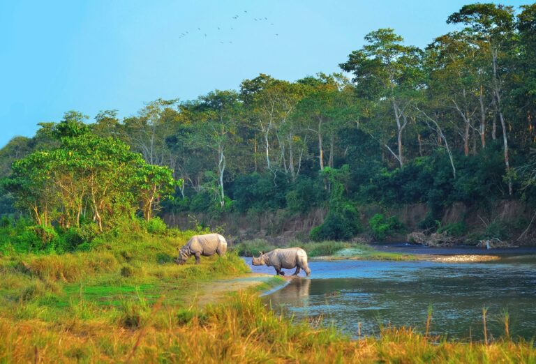 Viaje a Nepal: Katmandú, Pokhara y Parque Nacional de Chitwan