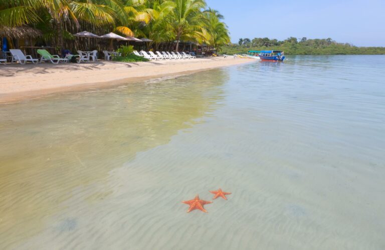 Viaje a Panamá: naturaleza, cultura indígena y playas caribeñas