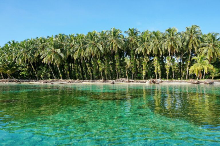 Viaje a Panamá: descubre historia, naturaleza y playas del Caribe