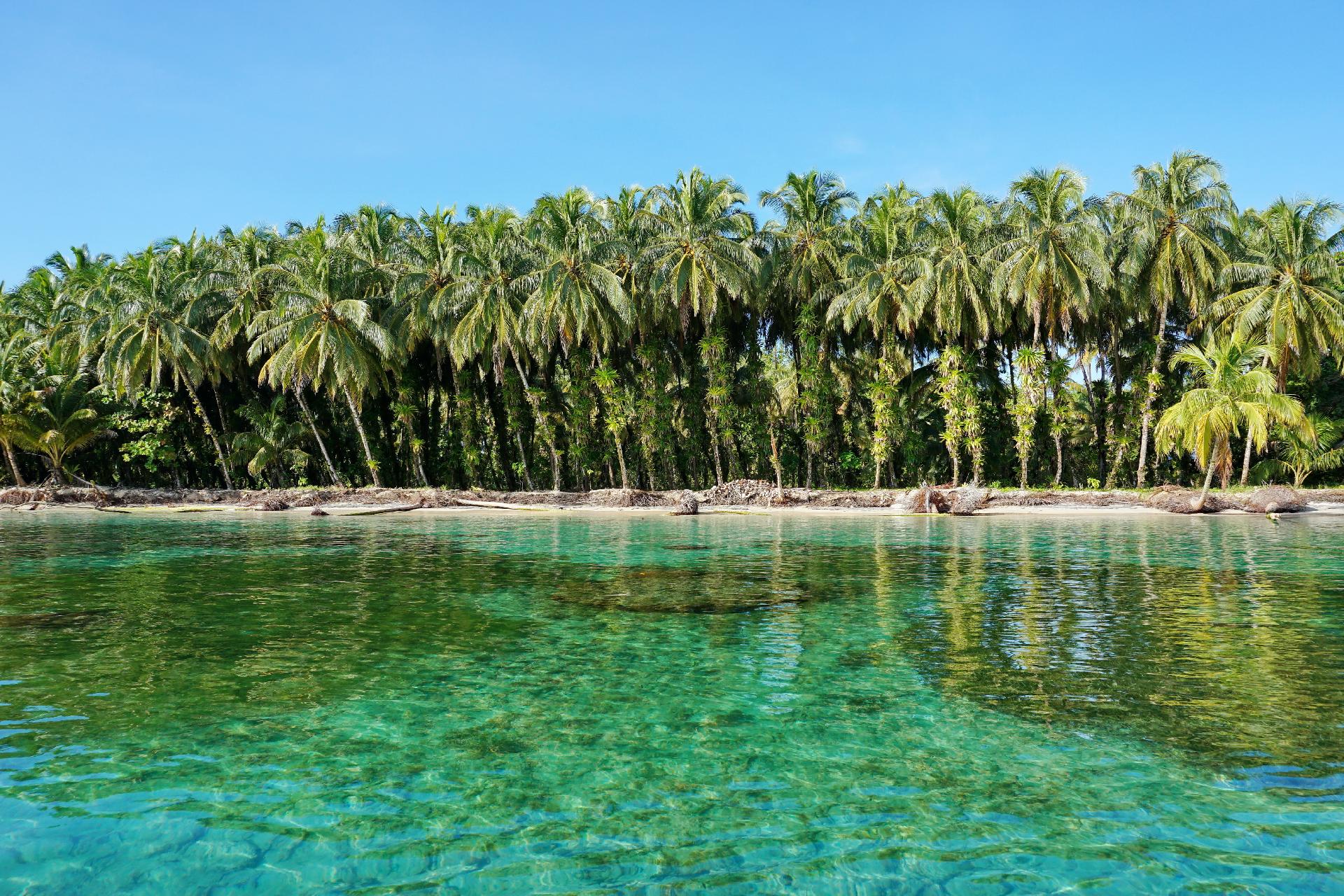 playa exhuberante en panama con WAYAO