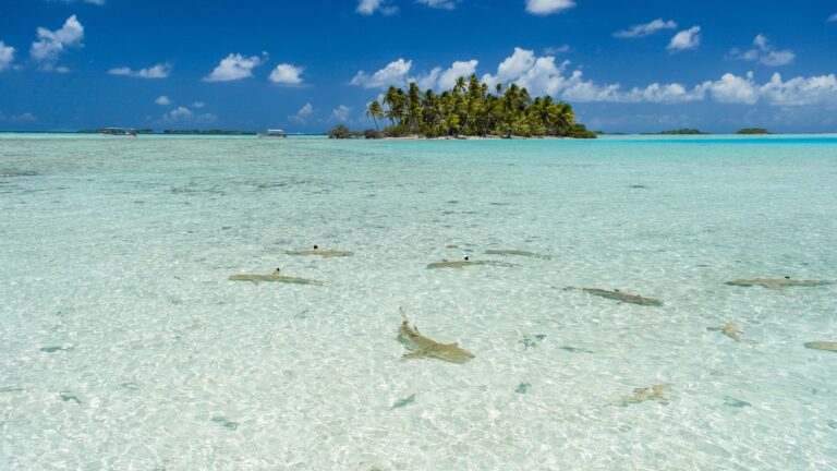 Viaje a la Polinesia Francesa: Raiatea y Bora Bora, paraíso soñado