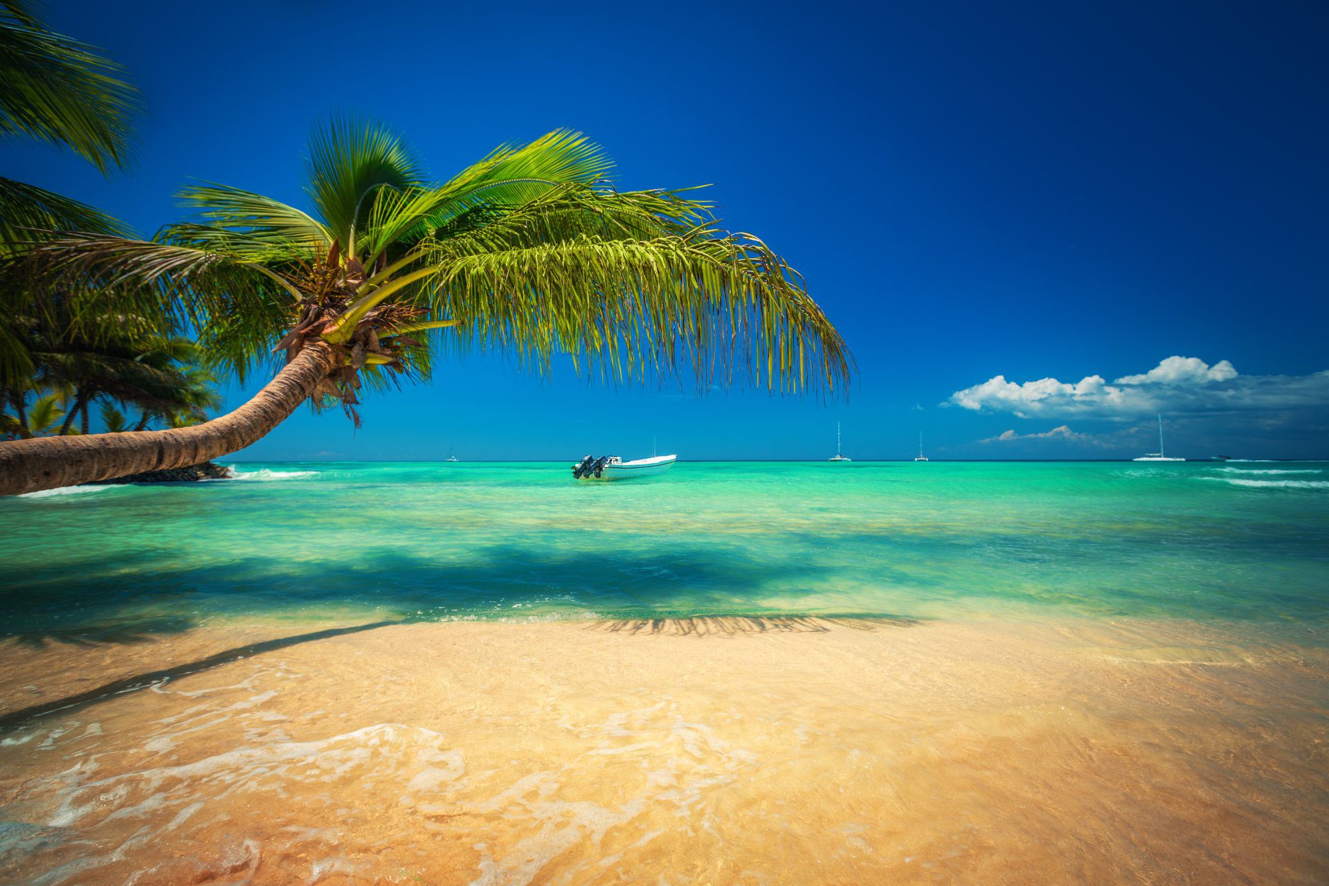 republica dominicana con WAYAO