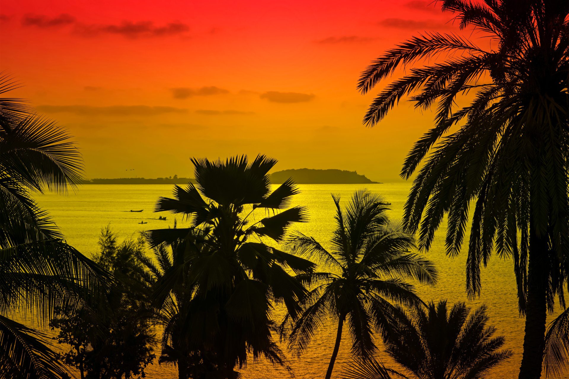 atardecer en senegal con WAYAO