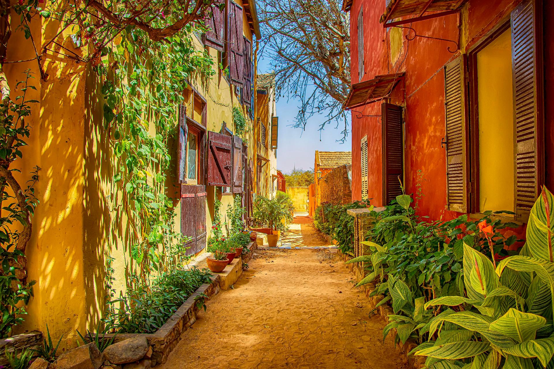 isla en senegal con WAYAO