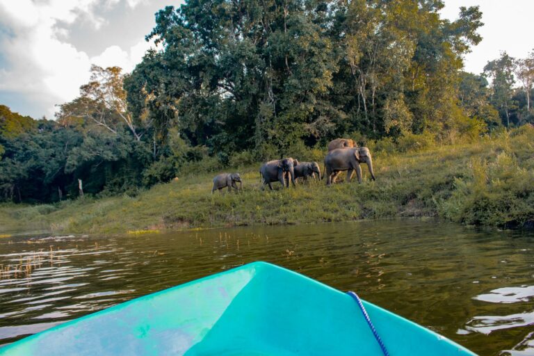 Viaje a Sri Lanka: cultura, naturaleza y playas paradisíacas