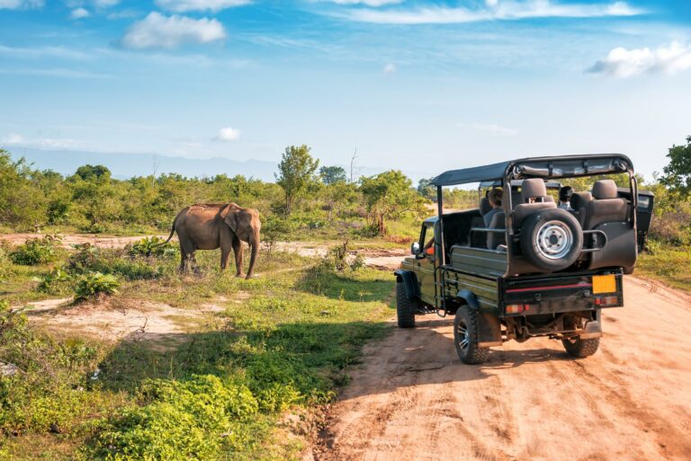 Viaje a Sri Lanka: Templos, Naturaleza y Experiencias Únicas