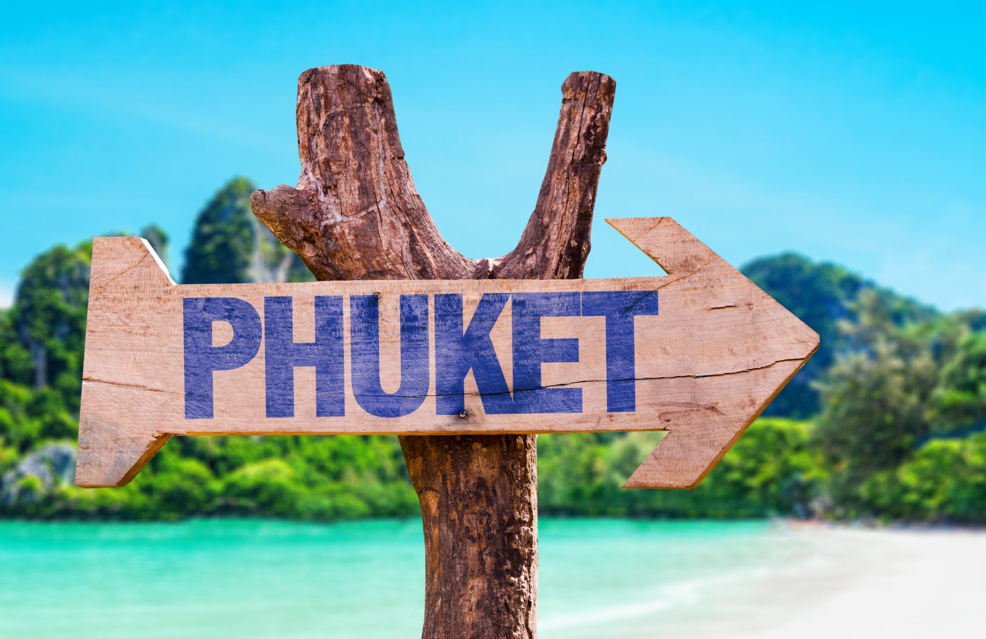 bienvenido a Pucket en un cartel de madera con WAYAO