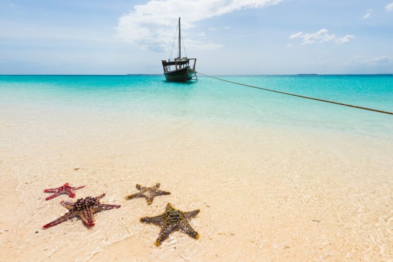 Viaje a Zanzíbar: vive el paraíso de las especias y playas infinitas