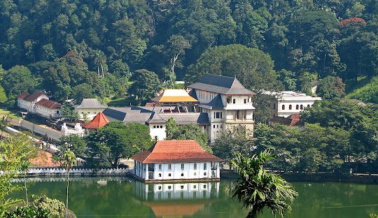 Viaje a Sri Lanka en 9 días: templos, naturaleza y encanto colonial