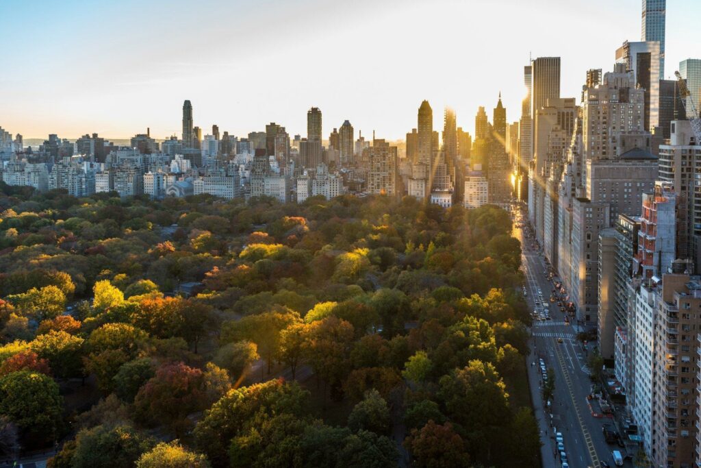 nueva york central park con WAYAO