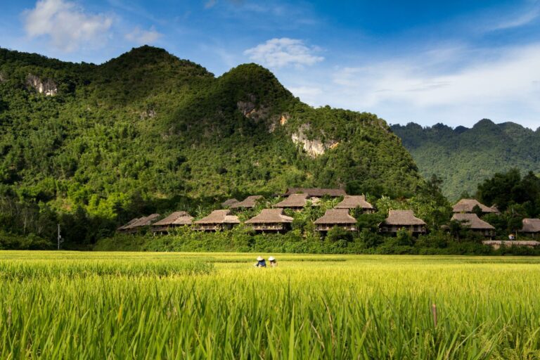 Viaje a Vietnam en 15 días: cultura, paisajes y experiencias únicas