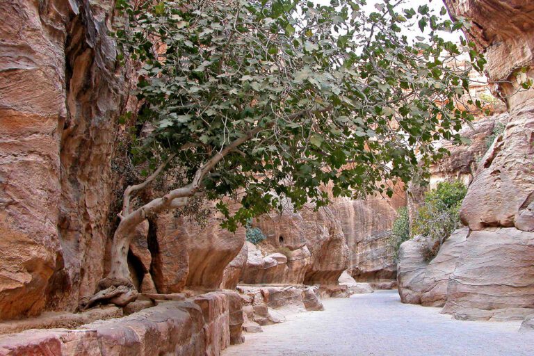 Viaje a Jordania: descubre Petra, Wadi Rum y el Mar Muerto