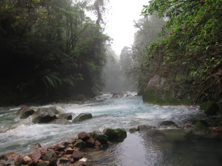 Viaje a Costa Rica: naturaleza salvaje, volcanes y selvas tropicales