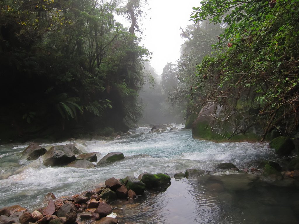 rio con agua con WAYAO