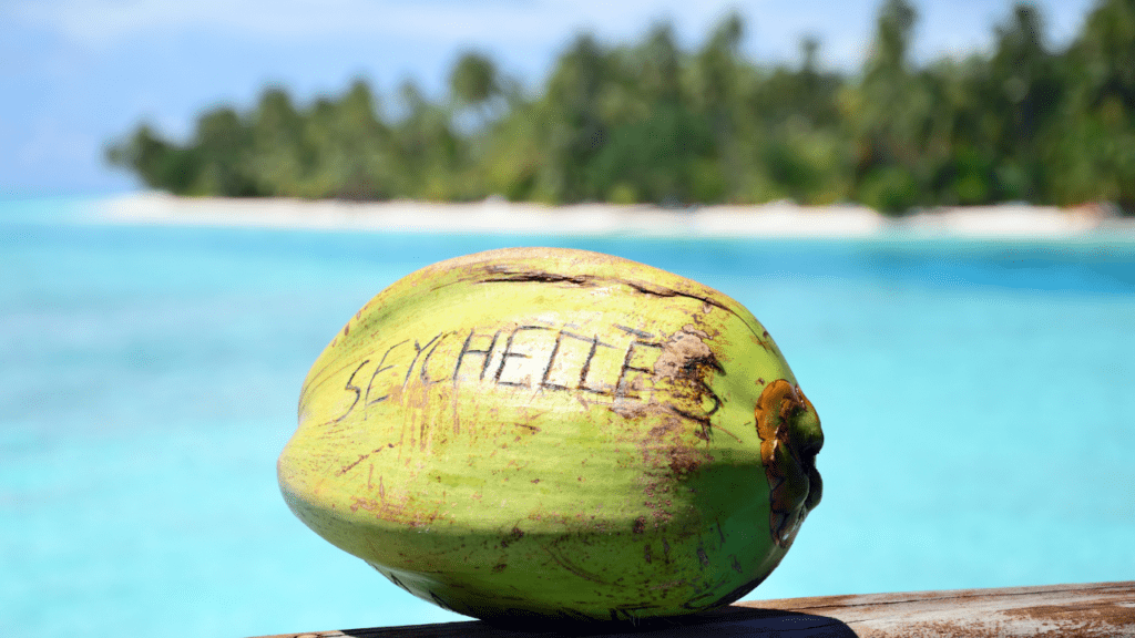 Qué ver en Seychelles: islas, playas e itinerarios para un viaje perfecto Qué ver en Seychelles: islas, playas e itinerarios para un viaje perfecto