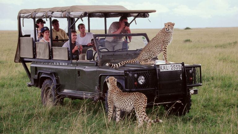 Safari en Kenia y Tanzania: la gran experiencia africana entre sabanas, culturas y vida salvaje
