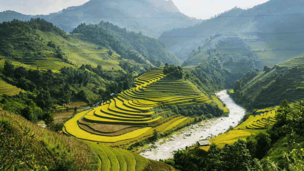 Mejor época para viajar a Vietnam: guía completa para tu aventura mejor epoca para viajar a vietnam