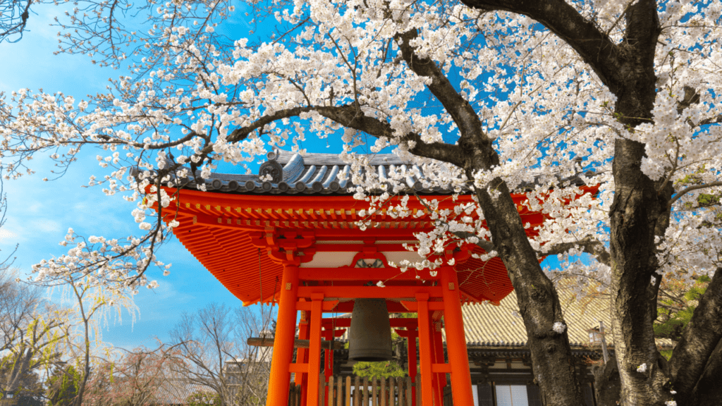 Cuándo ir a Japón: mejor época, clima y temporadas sacura japon cuando ir