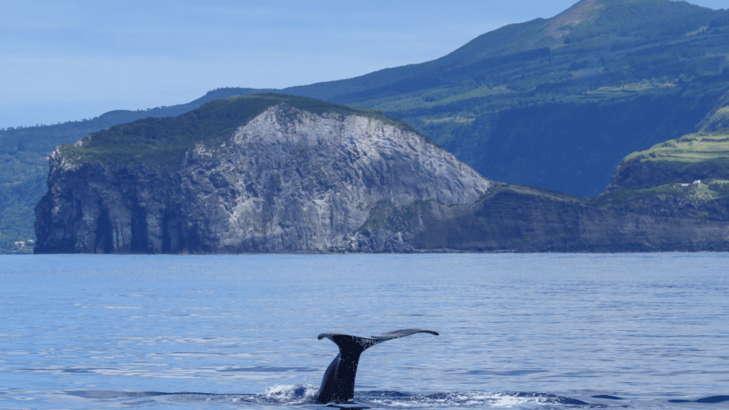 Mejor época para viajar a las Azores: clima, temperaturas y mejores meses para visitar el archipiélago Mejor época para viajar a las Azores: clima, temperaturas y mejores meses para visitar el archipiélago
