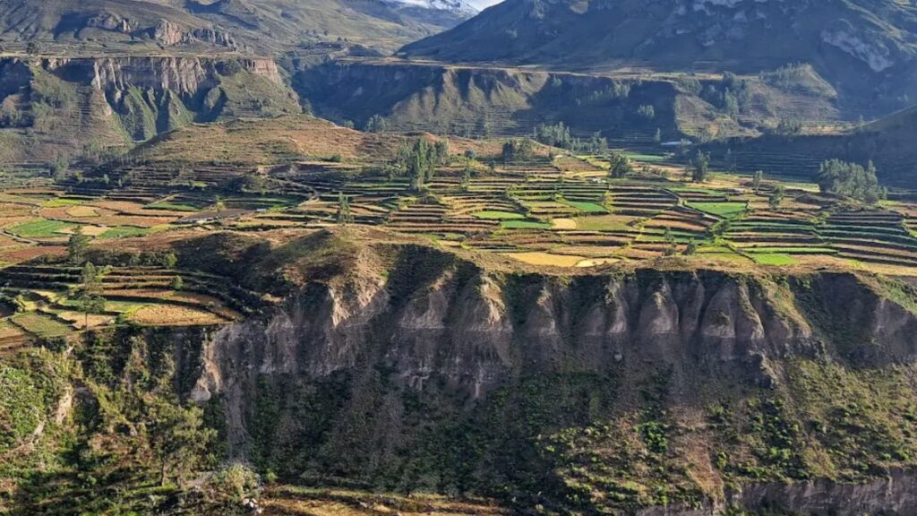 Qué ver en Perú: 12 lugares imprescindibles arequipa canon del colca
