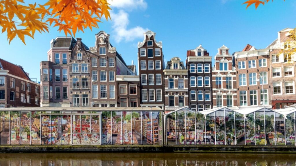 Qué ver en Ámsterdam: 10 lugares imprescindibles mercado de las flores bloemenmarkt amsterdam