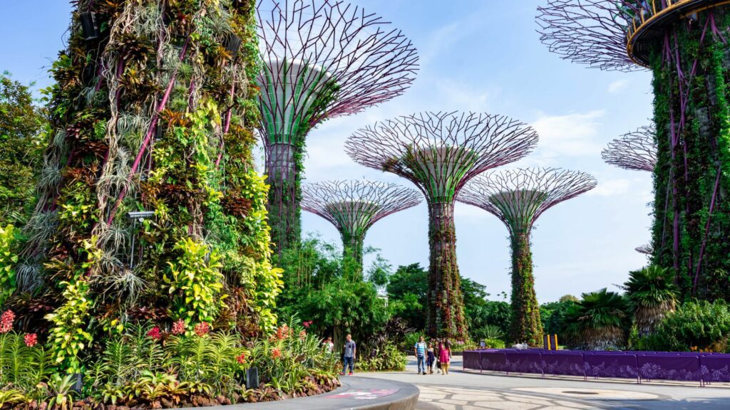 Qué hacer en Singapur: guía completa museos de singapur