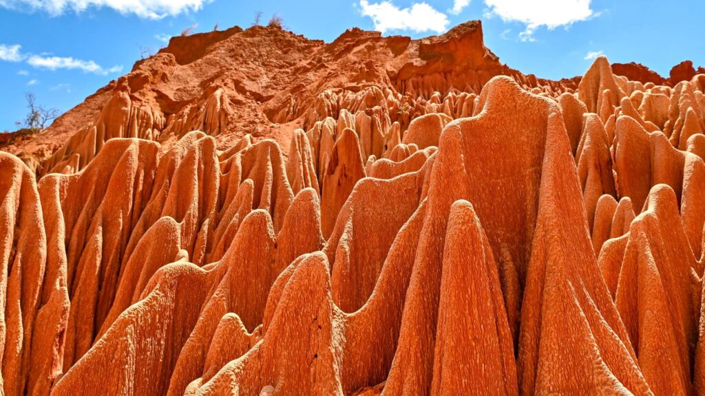 Safari en Madagascar: guía completa para un viaje único paisajes de madagascar