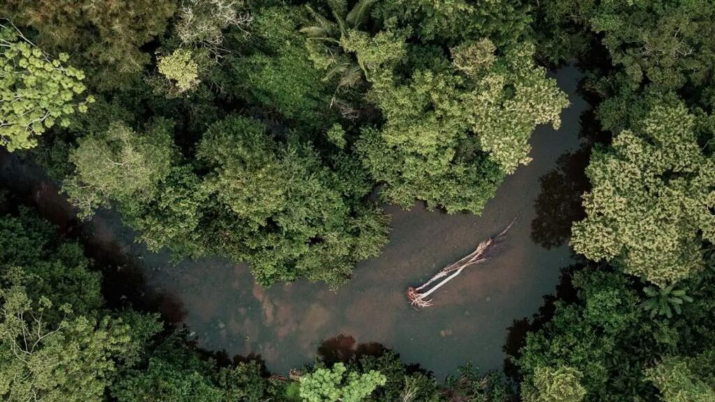 Qué ver en Perú: 12 lugares imprescindibles selva amazonica peru