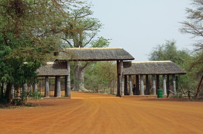 NATURALEZA DE SENEGAL Y PLAYA