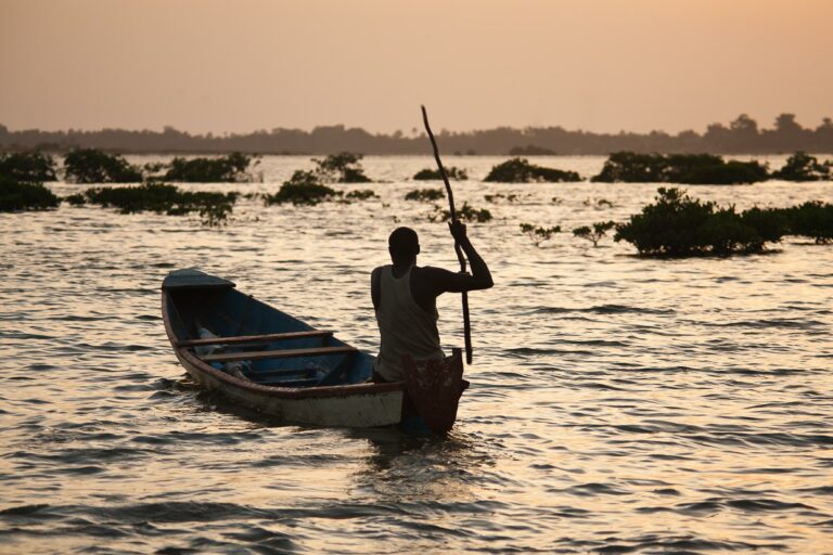 ESENCIA DE SENEGAL Y GAMBIA