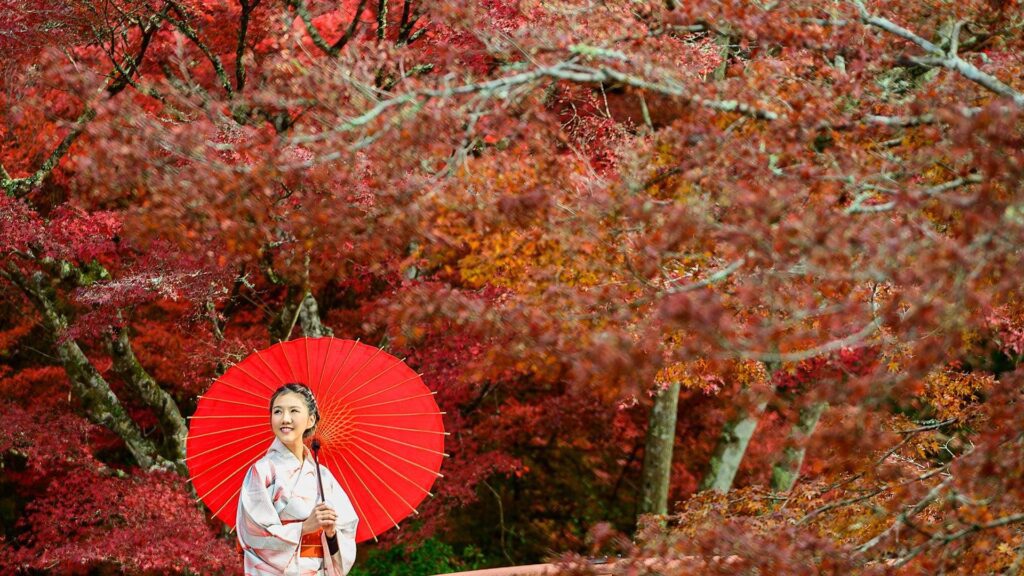 Ruta JRP por Japón: Guía para moverte en tren y comer como un local en Tokio, Kioto y Osaka jrp ruta japon