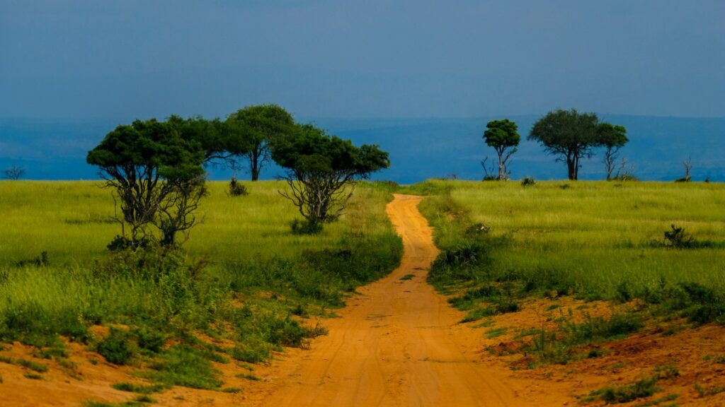 Mejor época para viajar a Madagascar cuando viajar