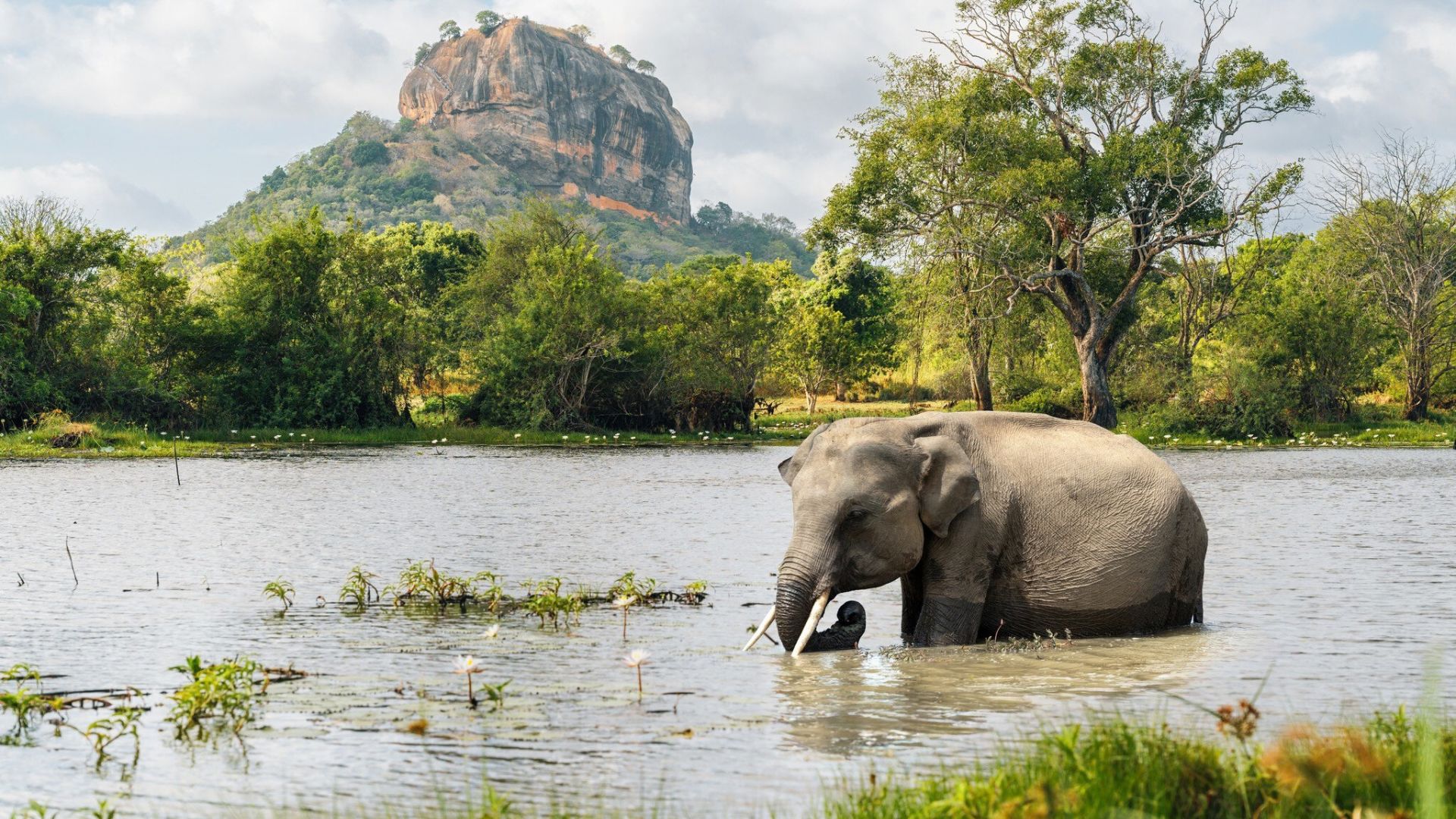 viaje a sri lanka
