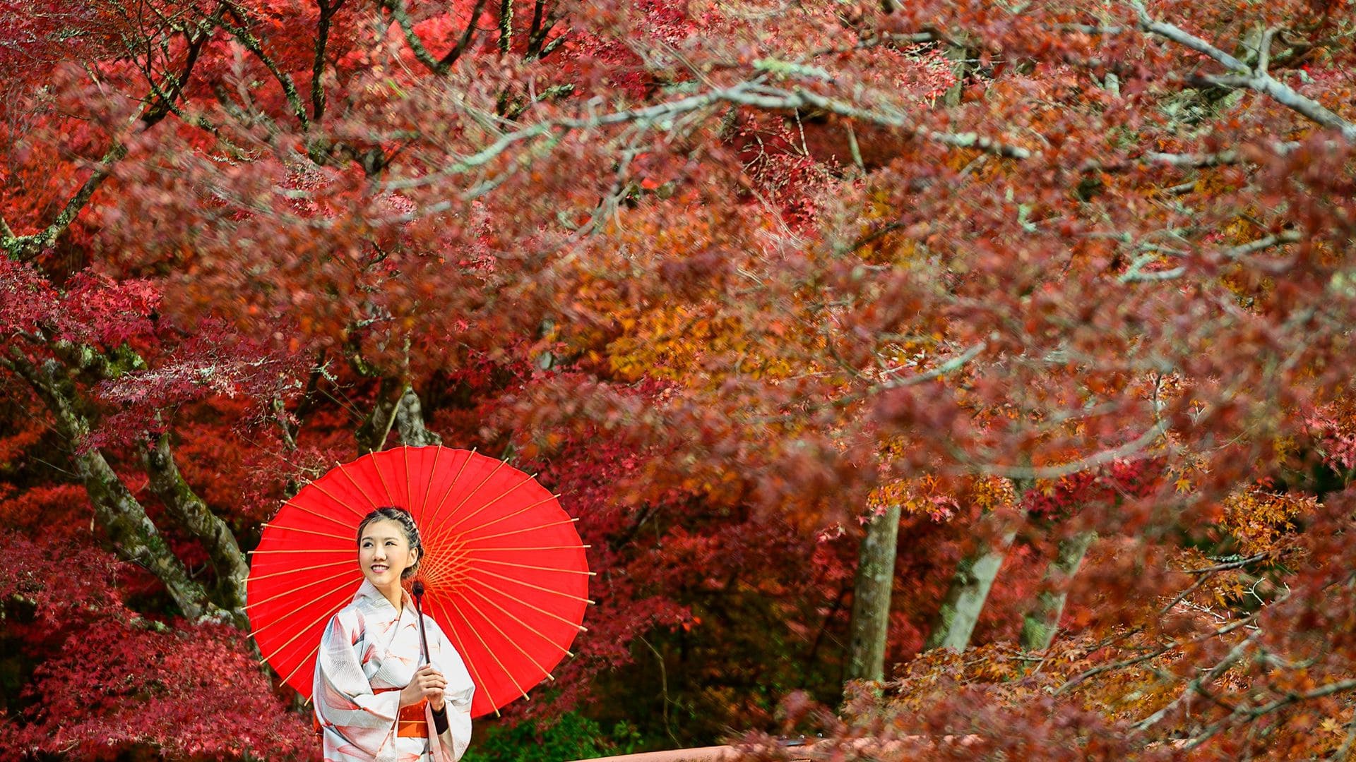 jrp ruta japon