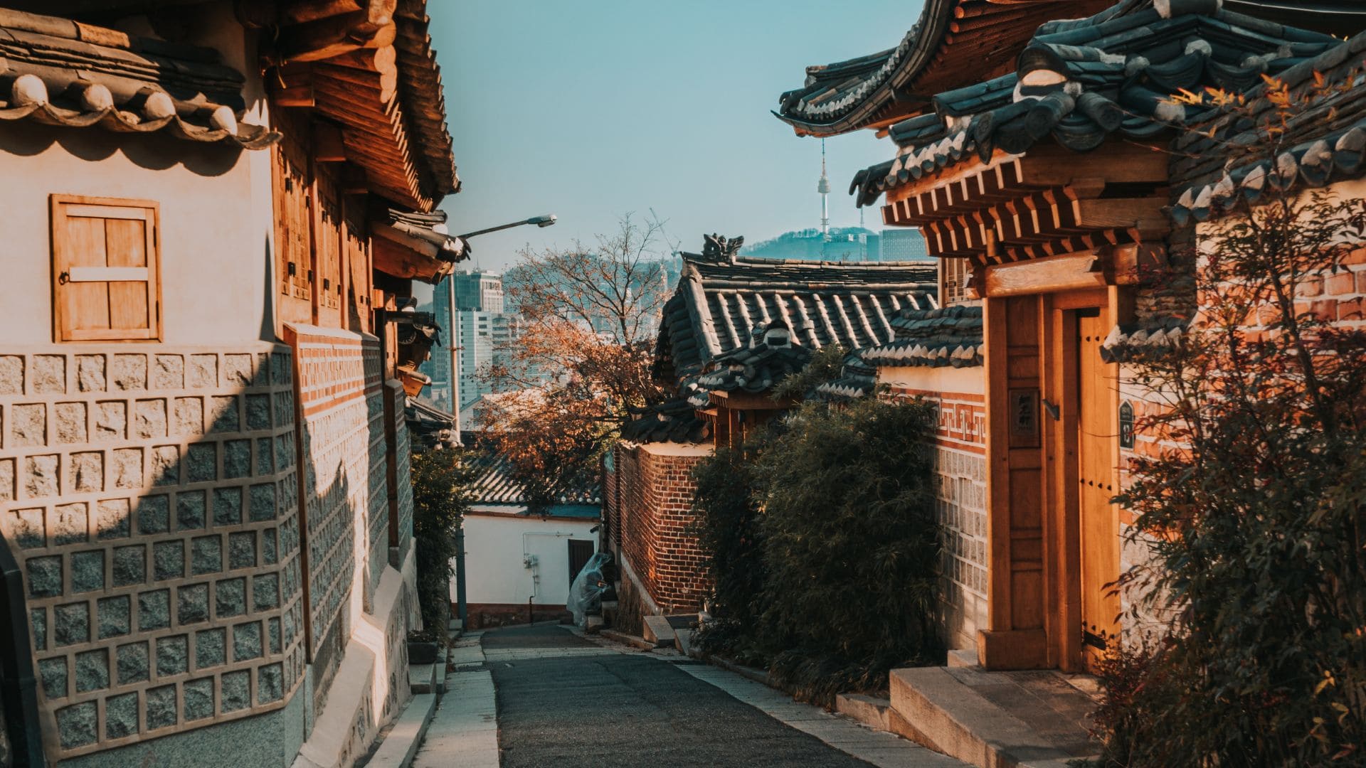 que ver corea del sur seul